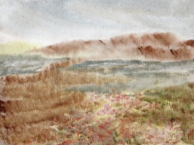 Bruyère des montagnes brumeuses - Nikita Jariwala