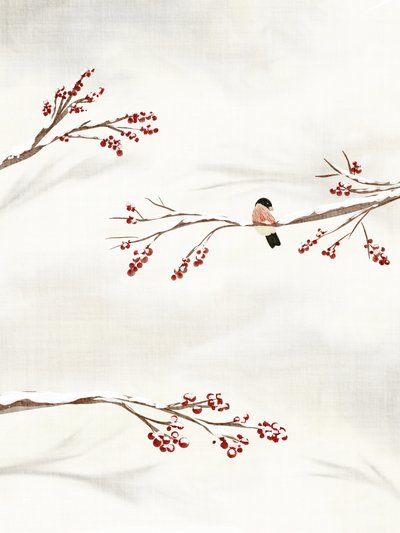 Oiseau d