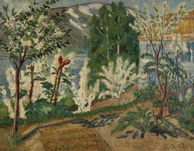Fleurs blanches près de Jølstravannet - Nikolai Astrup