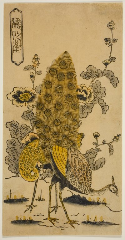 Rose trémière et paons (Aoi ni kujaku) - Nishimura Shigenobu