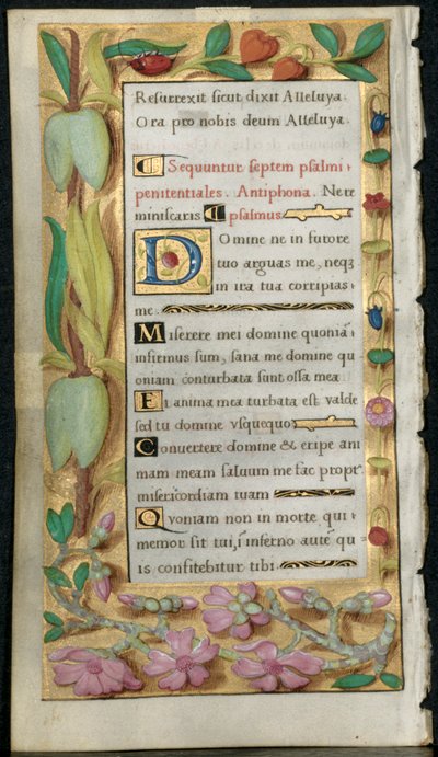 Feuille d