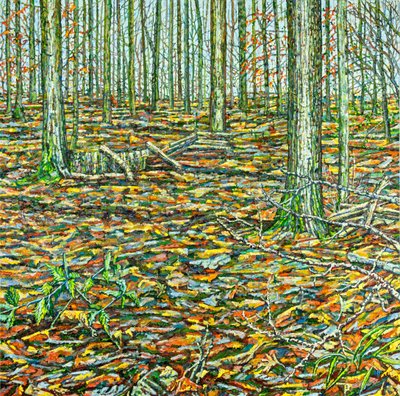 Paysage d