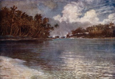 Par Récif et Palmier - Norman Hardy