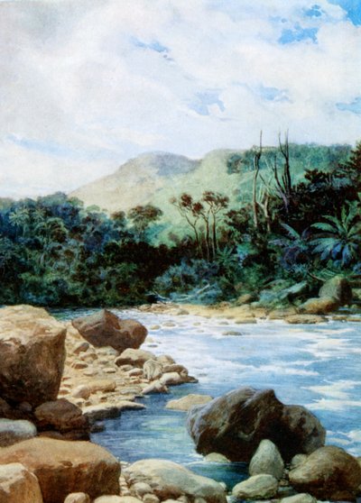 Paysage à Eromanga, Nouvelles-Hébrides, 1908 - Norman Hardy