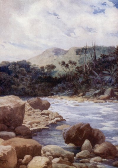 Les rapides, rivière Williams, île d