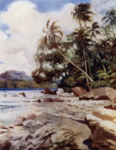 Le récif près de Simbo, Îles Salomon - Norman Hardy
