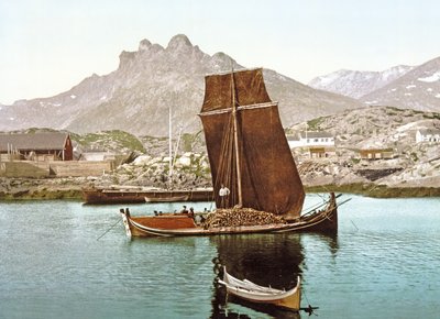Bateau Nordland transportant une cargaison de bois, Norvège - Norwegian Photographer