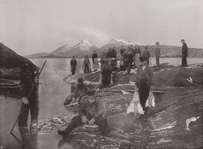 Lavage de poisson Klip - Norwegian Photographer