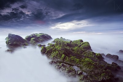 Paysage marin éthéré et moussu - Nuno Araujo