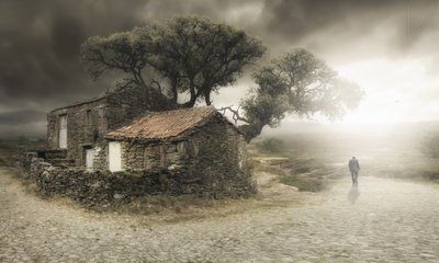 La vieille maison : un voyage dans la brume - Nuno Araujo