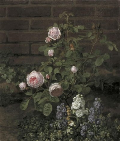 Un rosier mousseux entouré de fleurs d