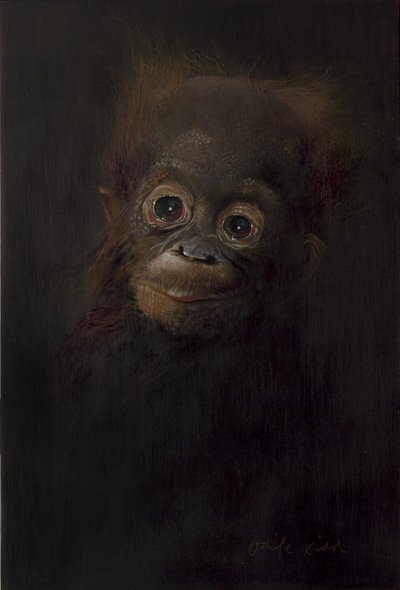 Bébé orang-outan 1, 2009 (acrylique sur bois) - Odile Kidd