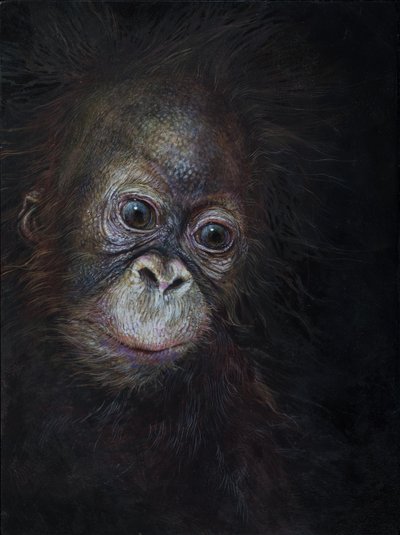 Bébé orang-outan 3, 2015 (acrylique sur bois) - Odile Kidd