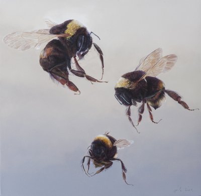 Bombus vol 1, 2011 (acrylique sur bois) - Odile Kidd