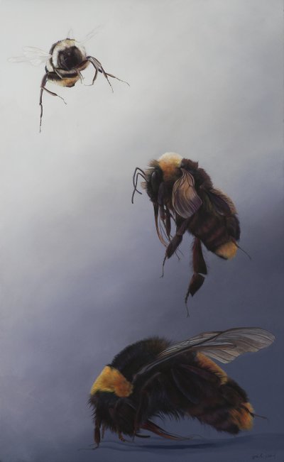 Bombus vol 2, 2011 (acrylique sur bois) - Odile Kidd
