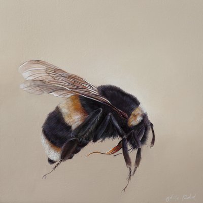 Bombus terrestis 8, 2013 (acrylique sur bois) - Odile Kidd