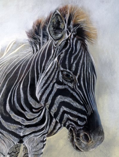 Equus burchelli 1 (détail), 2009 (fusain, conte et pastel à la craie sur papier Bockingford) - Odile Kidd