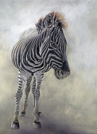 Equus burchelli 1, 2009 (fusain, conte et pastel à la craie sur papier Bockingford) - Odile Kidd