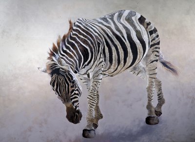Equus burchelli 2, 2010 (acrylique sur toile) - Odile Kidd