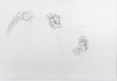 Estella rijnveld 1, 2013 (crayon sur papier cartouche) - Odile Kidd
