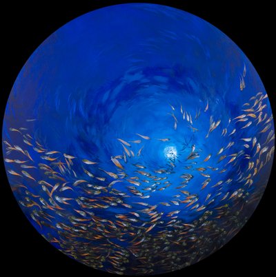 Poisson de verre 2, 2009 (acrylique sur lin sur bois) - Odile Kidd