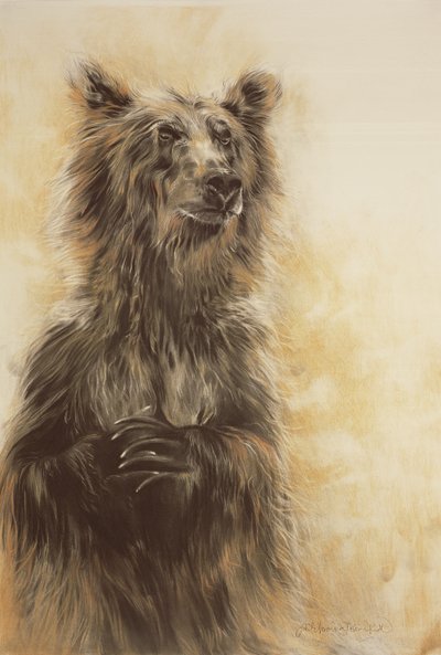 Grizzly Bear 1, 2002 (crayon de carbone, fusain et craie) - Odile Kidd