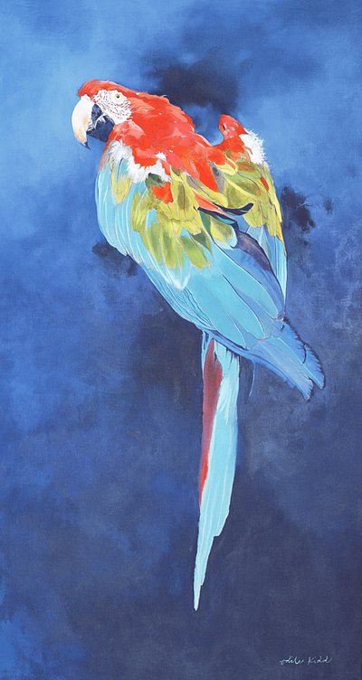Ara rouge et bleu, 2002 (acrylique sur lin) - Odile Kidd