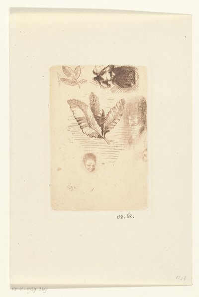 Feuille avec croquis - Odilon Redon