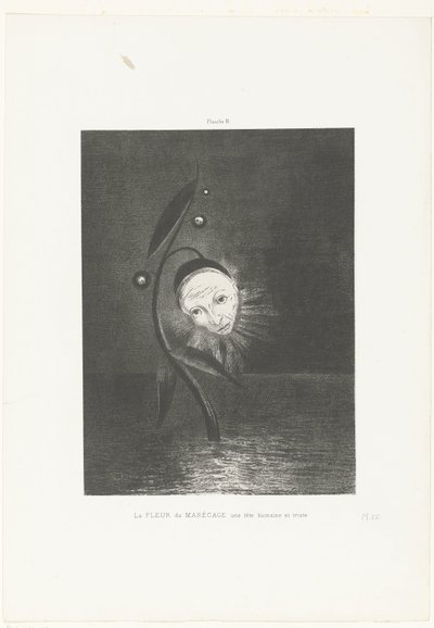 La fleur du marécage, une tête humaine et triste - Odilon Redon