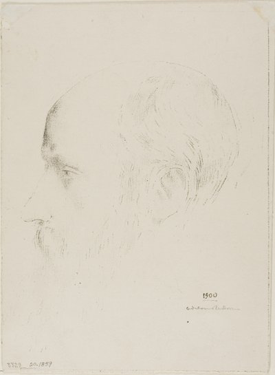 Édouard Vuillard - Odilon Redon