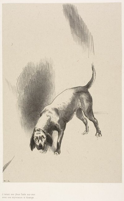 Il [le chien du narrateur] gardait les yeux fixés sur moi avec un regard si étrange, planche 3 de 6 - Odilon Redon
