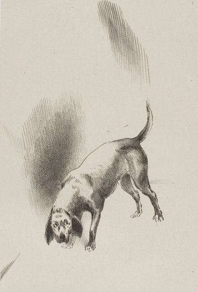 Il [le chien du narrateur] gardait les yeux fixés sur moi avec un regard si étrange, planche 3 de 6 - Odilon Redon