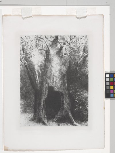 Je me suis enfoncé dans la solitude - Odilon Redon