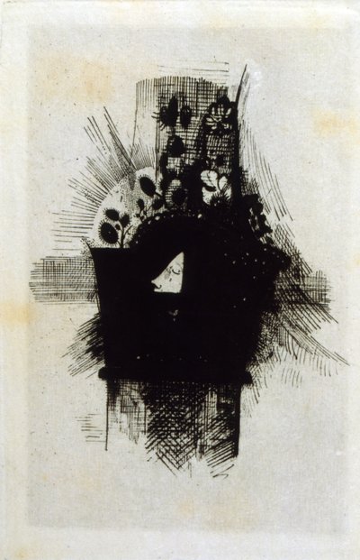 Les Fleurs du mal - Odilon Redon
