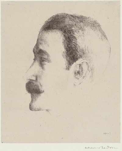 Ricardo Viñes - Odilon Redon
