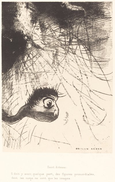 Saint-Antoine : Il doit y avoir quelque part des figures primordiales dont les corps ne sont que les images - Odilon Redon