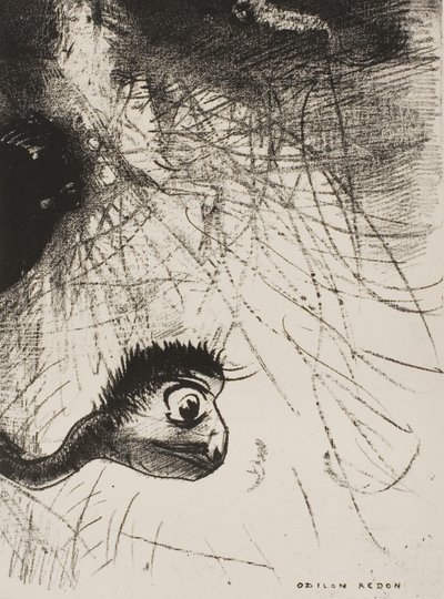 Saint Antoine : "Quelque part il doit y avoir des formes primordiales dont les corps ne sont que des images", planche 4 de 6 - Odilon Redon