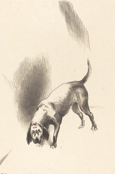 Le Chien - Odilon Redon