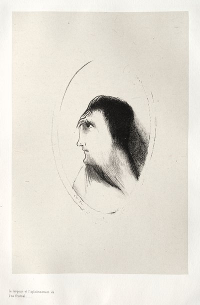 La Maison hantée : La largeur et la platitude du frontal - Odilon Redon