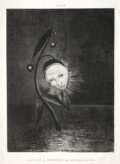 La fleur des marais, une tête humaine triste - Odilon Redon
