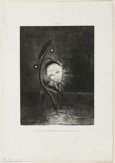 La fleur des marais, une tête humaine triste, planche 2 de 6 - Odilon Redon