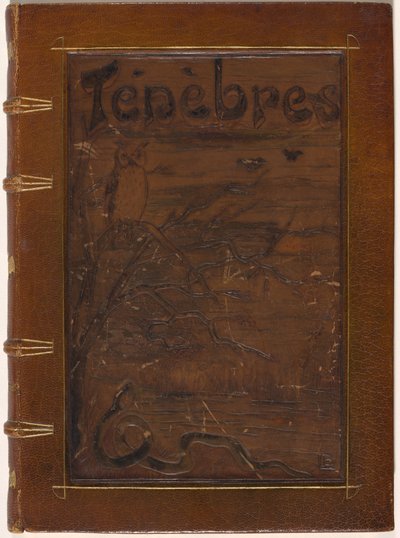 Ténèbres - Odilon Redon