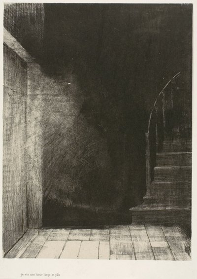 Nous avons tous deux vu une grande lumière pâle, planche 2 de 6 - Odilon Redon