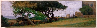 Paysage près de Castiglioncello, Italie - Odoardo Borrani