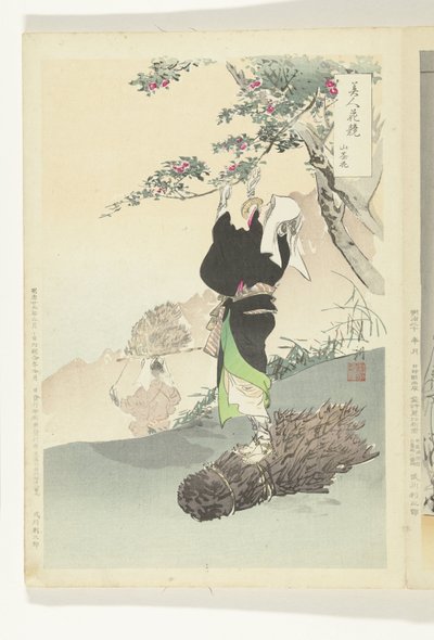 Femme cueillant des cerises de montagne - Ogata Gekko