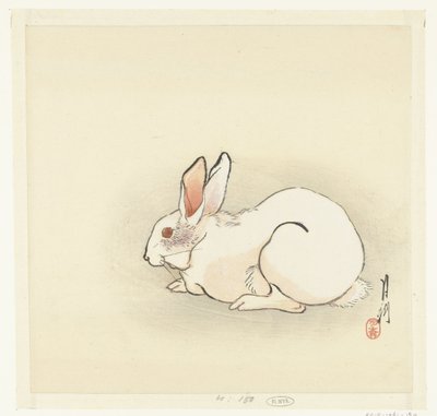 Lapin blanc - Ogata Gekko