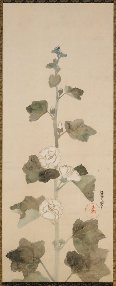 Hollyhocks blancs, période Edo, fin 17e-début 18e siècle - Ogata Korin