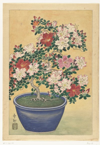Azalée en fleurs dans un pot bleu - Ohara Koson (signed by artist)