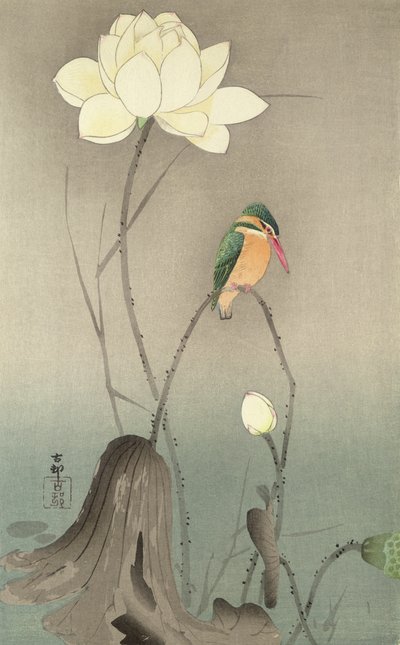 Un martin-pêcheur et un lotus - Ohara Koson