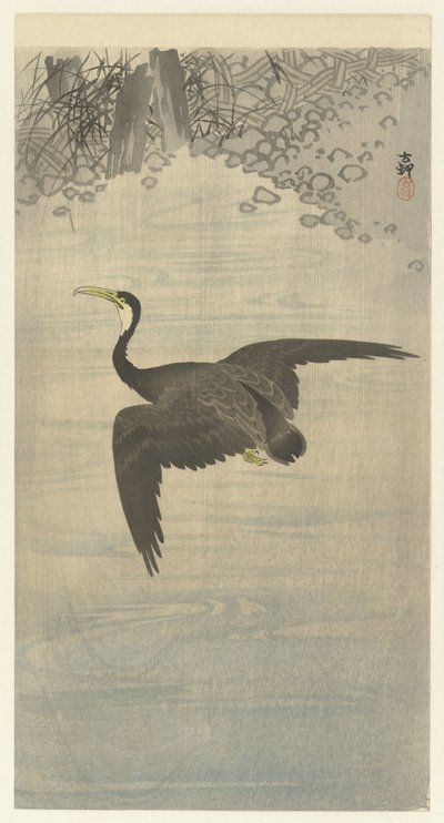 Cormoran en vol - Ohara Koson